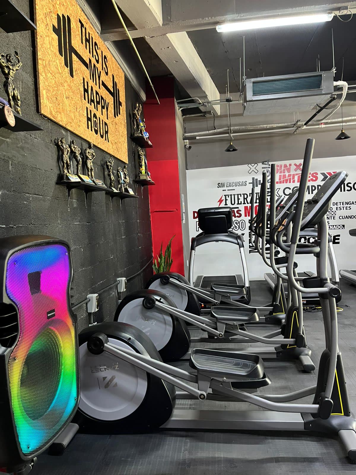 Entrena en el gimnasio